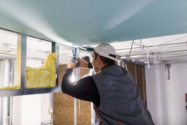 Types of Insulation We Offer in Lombard, IL