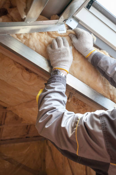 Best Commercial Insulation in Lombard, IL